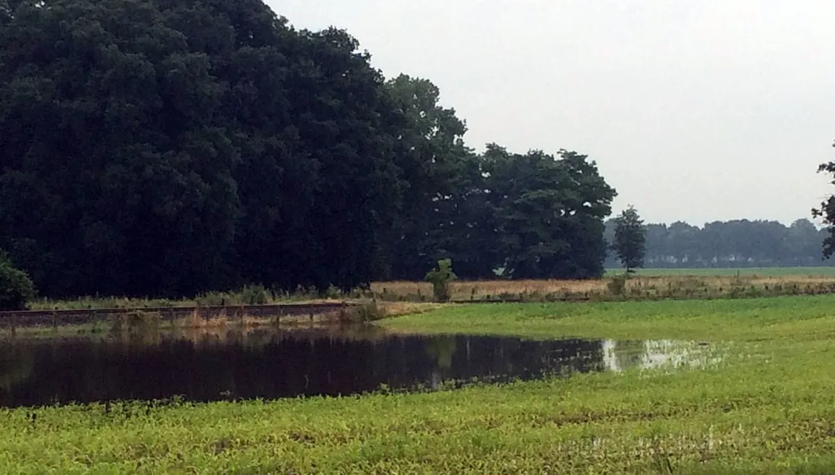 akker blank tussen limbricht en born