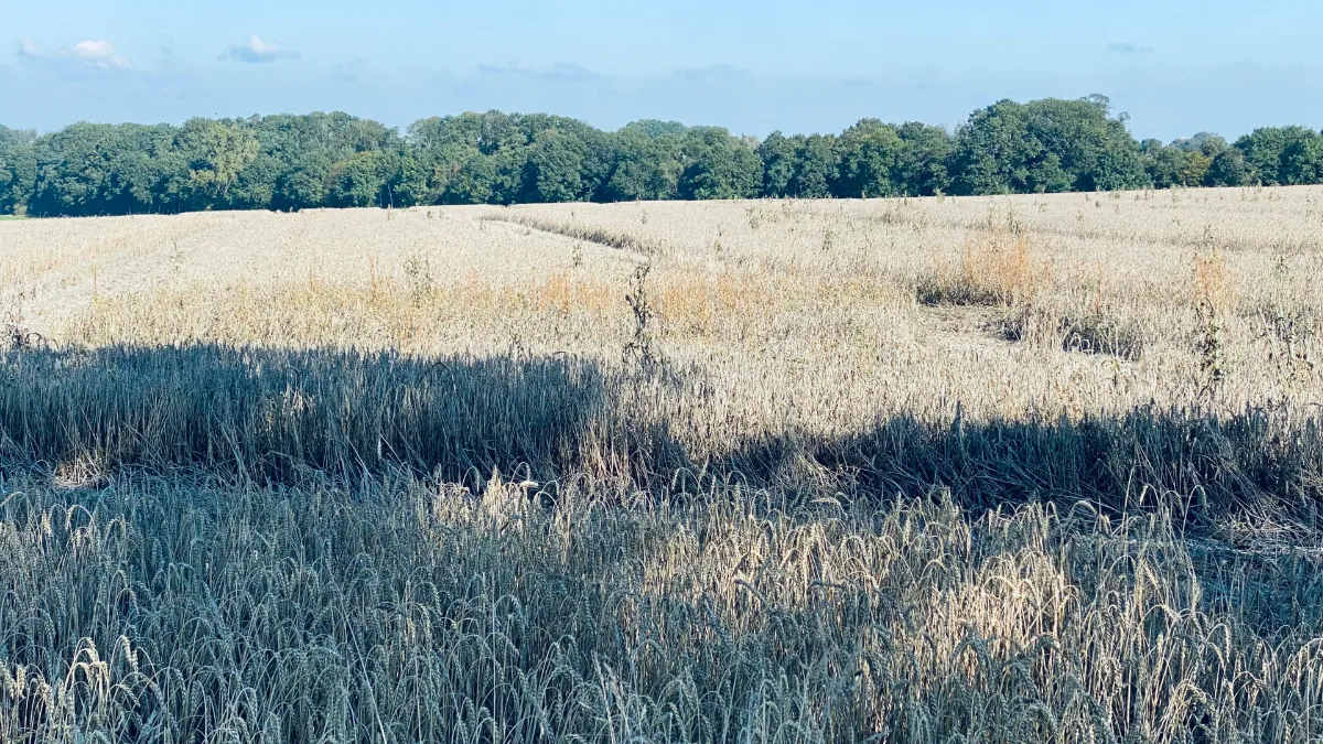 akker tussen windraak en doenrade