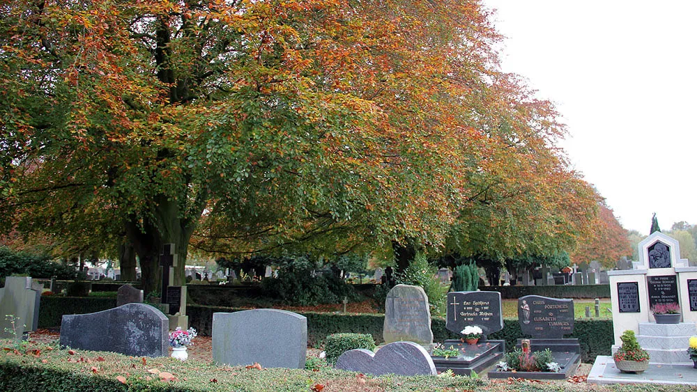 algemene begraafplaats lahrstraat herfst 2014