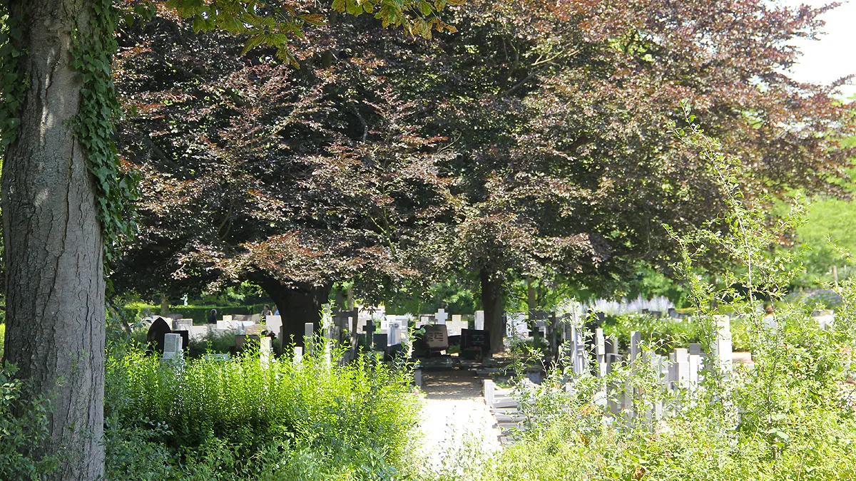 algemene begraafplaats sittard