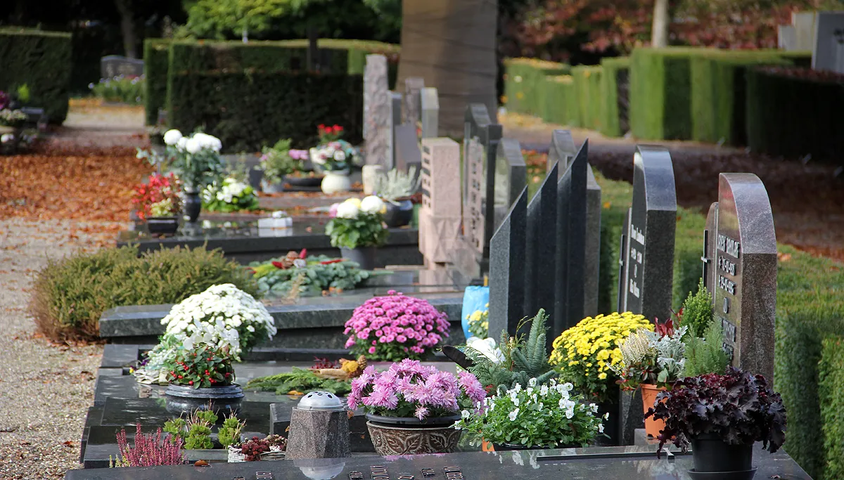 allerzielen 2016 sittard