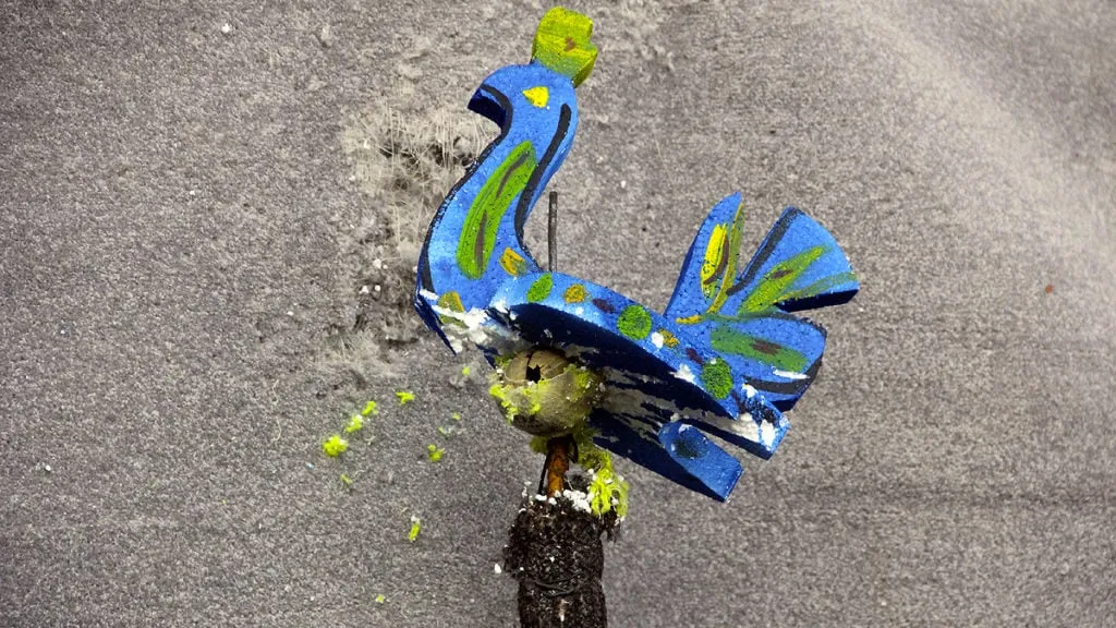 alternatief vogelsjeite 2020