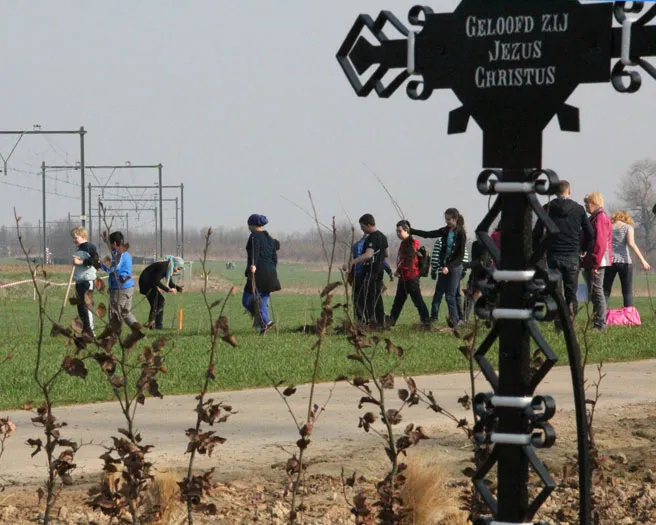 amtdp5vhvw3z3o1bbcshbmas4 218847