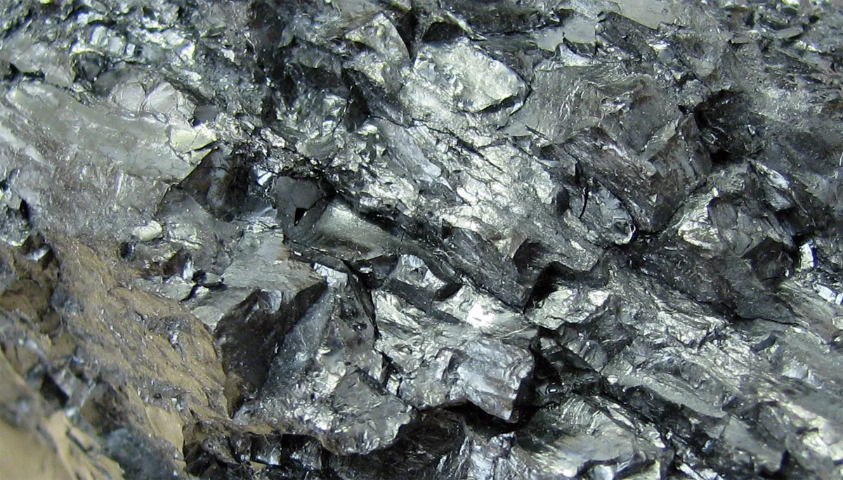 anthraciet educerva cc by sa 30