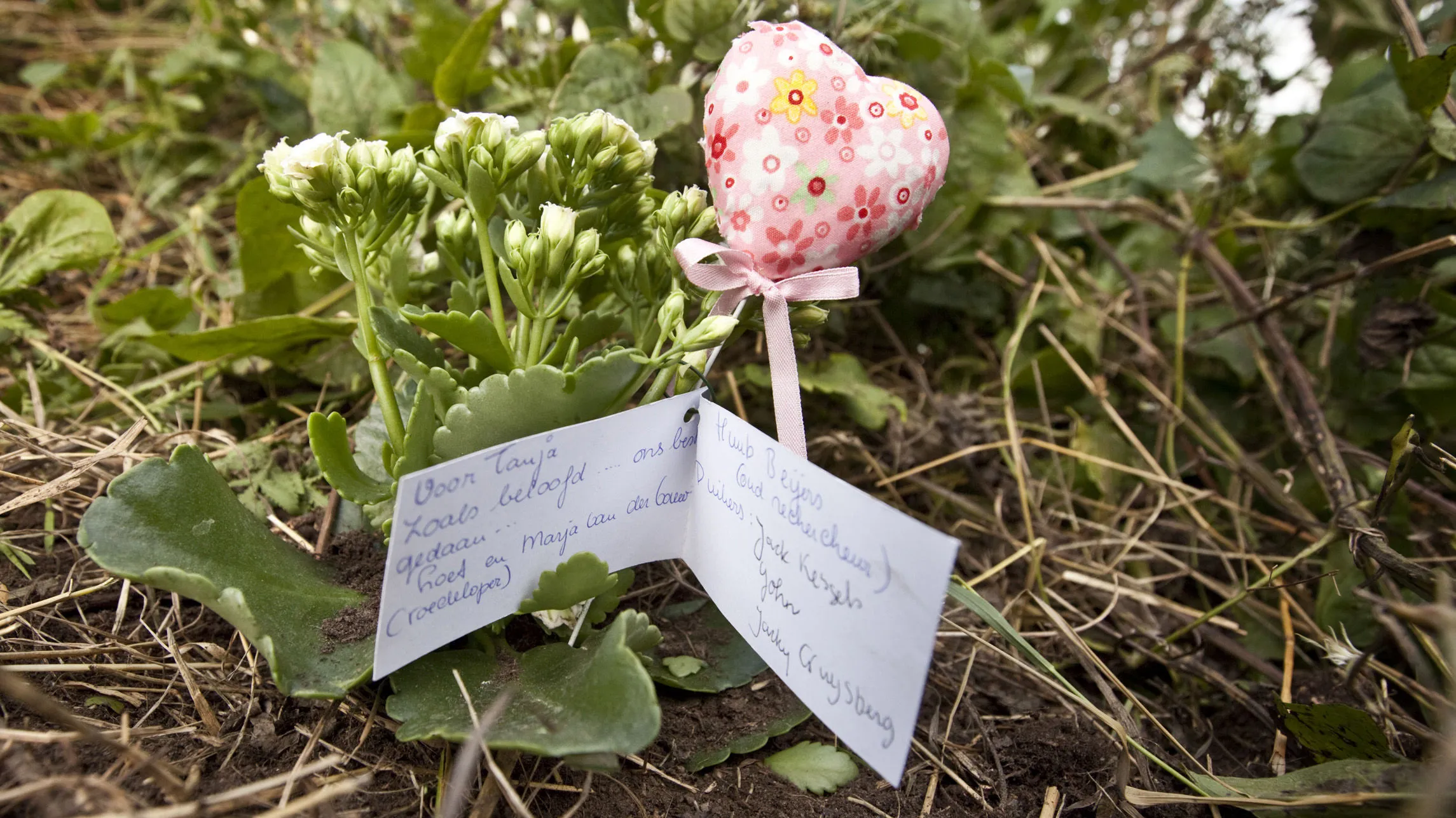 apys3ksw101mebf6iugwkas6l tanjadef