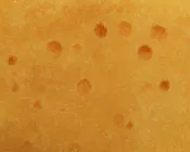 aq6lamaix3w3wm3nwa96jgl40 204788