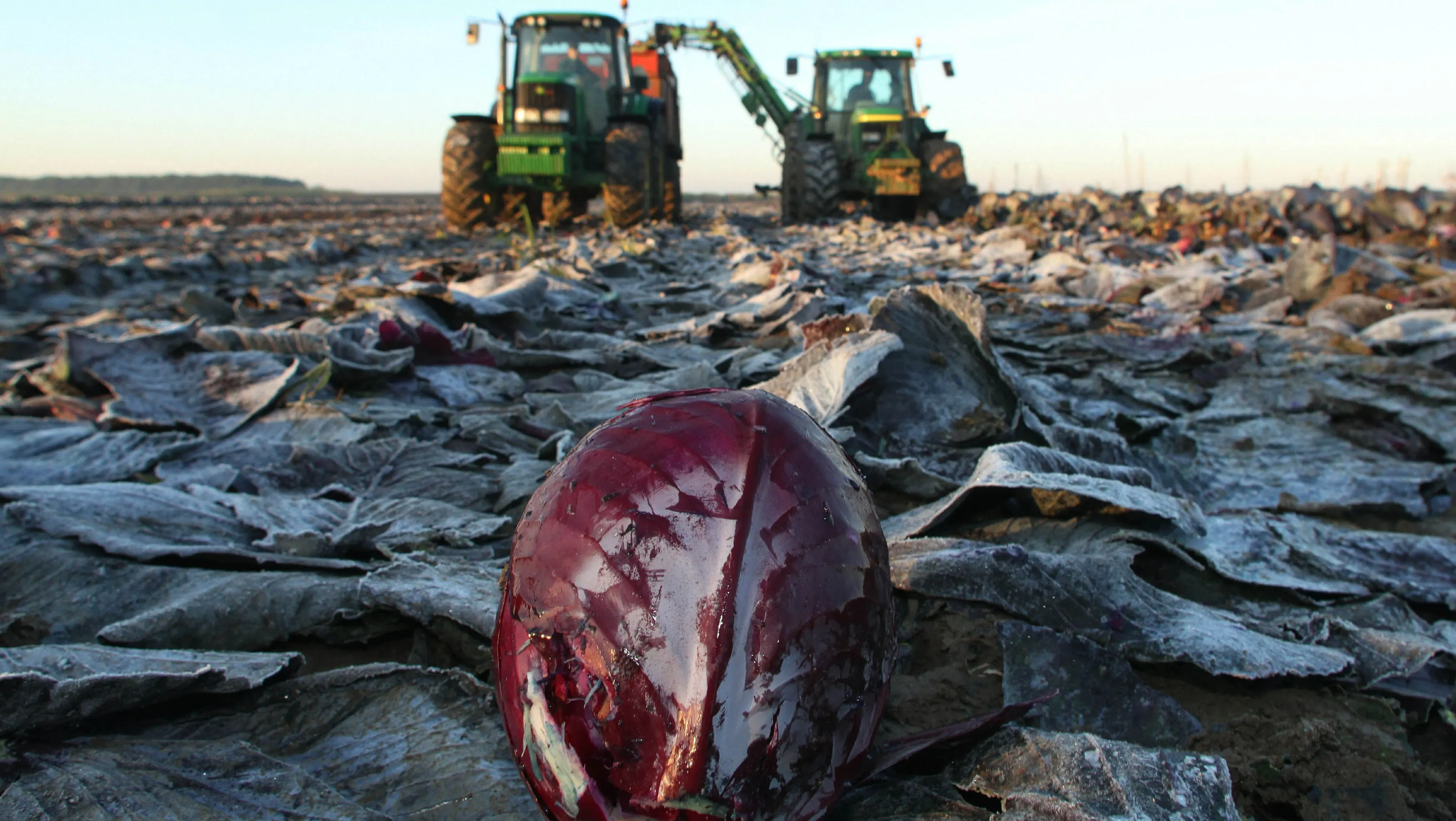 ar6qdnknpgf301s9atf3n7ylq tractorboerderijrodekoollandbouwvoedsel1etenboerenhqfot