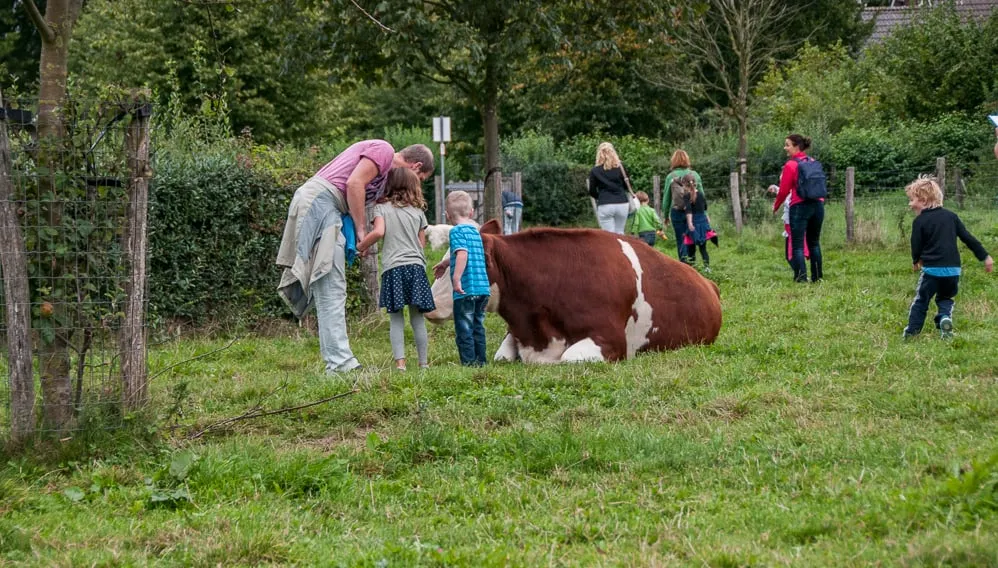 avondvierdaagse sittard francoise petersen wwwfpfotografieputhnl