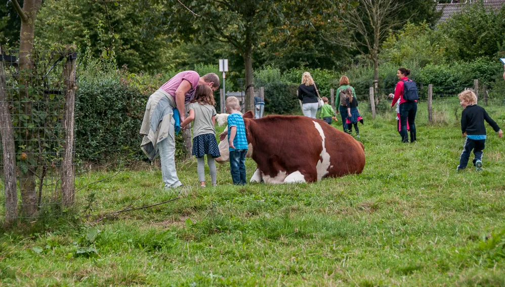 avondvierdaagse sittard francoise petersen wwwfpfotografieputhnl