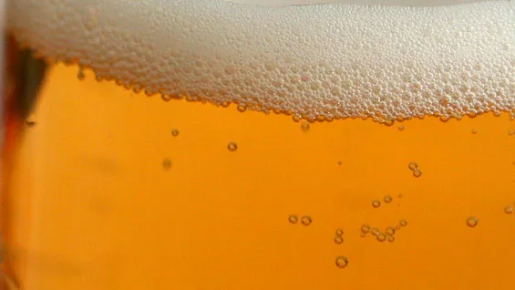 b32aghpqyfgtbe368hmb66w9i bier 3