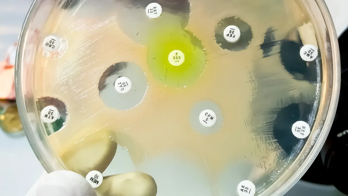 bacterieel onderzoek