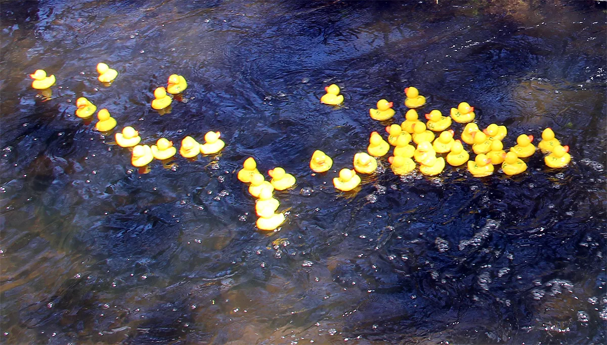badeendenrace philharmonie stadspark 2016 2
