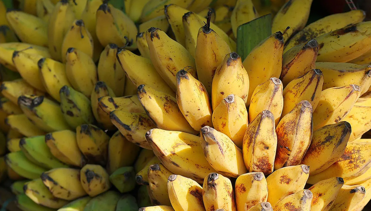 bananas 504478 1280 cc0 pixabay bananen