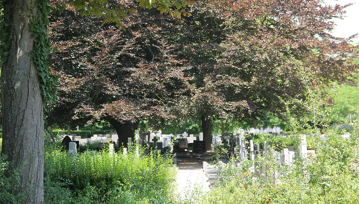 begraafplaats sittard