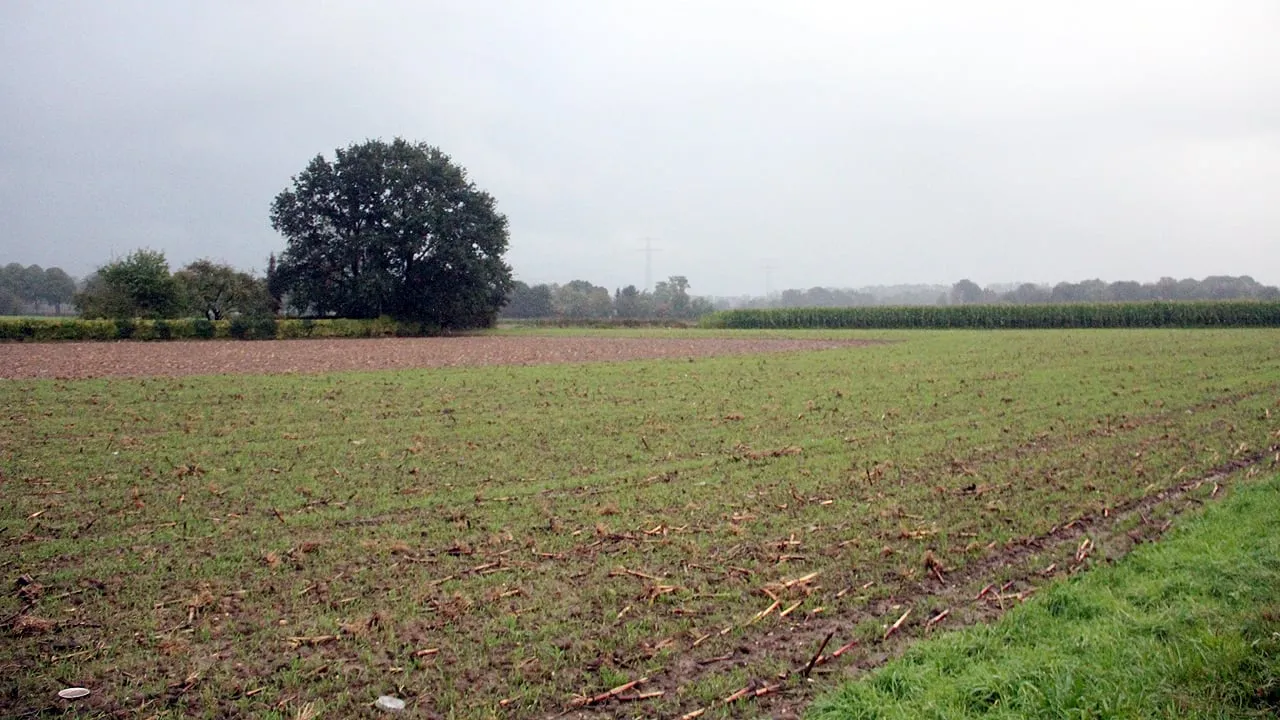 behoud groen middengebied obbich grevenbicht 2