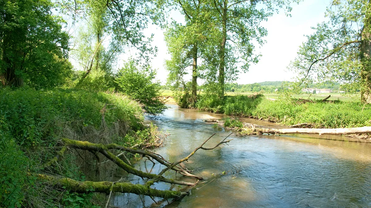 bergse heide henk heijligers