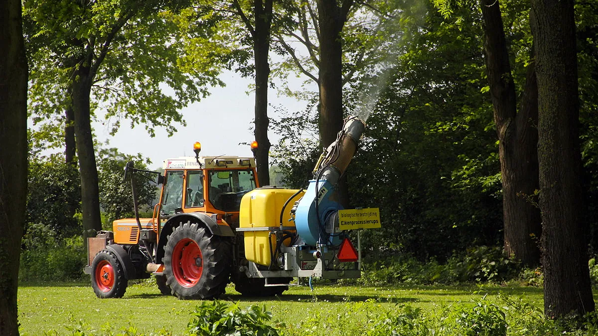 bestrijding eikenprocessierups