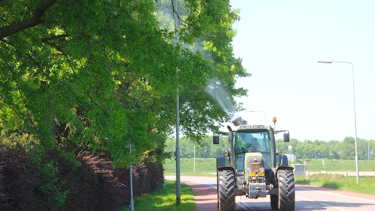 bestrijding eikenprocessierups in het voorjaar