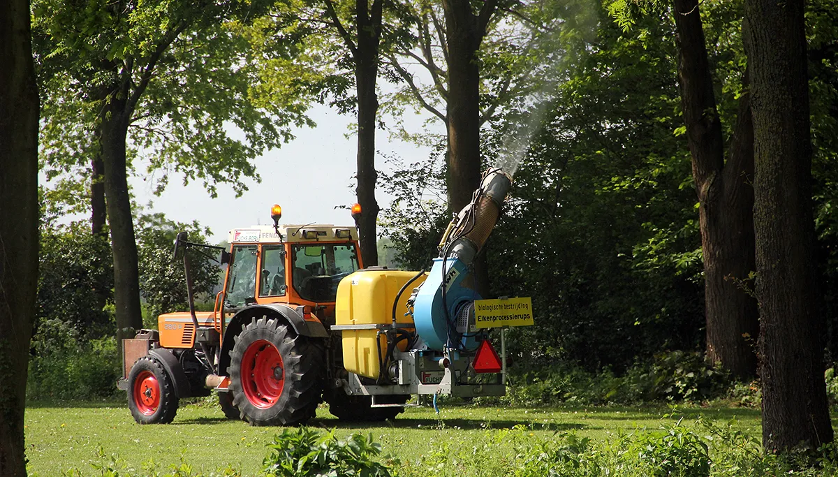 bestrijding processierupsen op complex vv obbicht