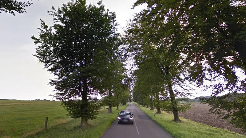 beukeboomseweg naar guttecoven