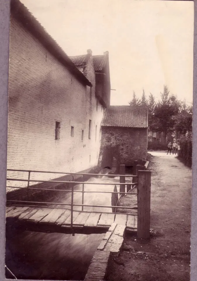 bgg5f1xuf6nlilwt0qryve1ny volmolen damoiseaux