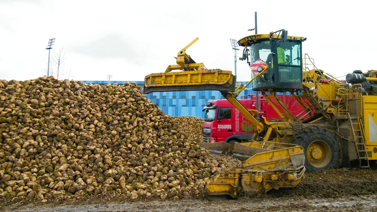 bietencampagne archieffoto 2018 guus queisen