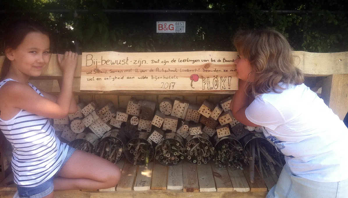 bijenhotel bij bewust zijn plk