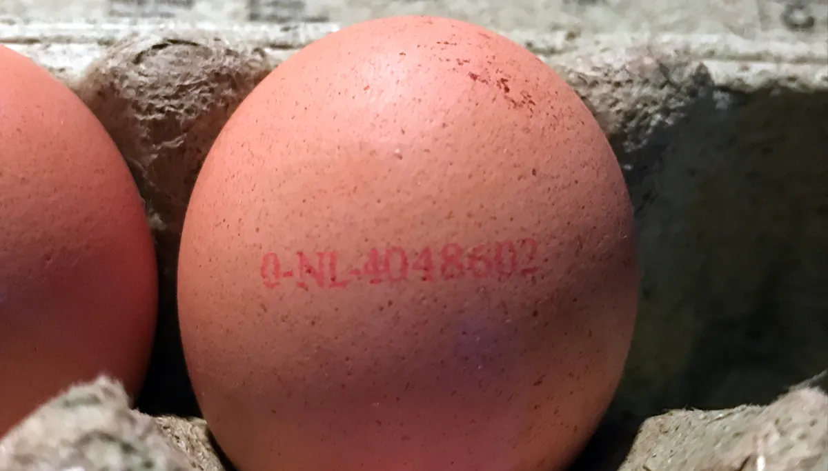 biologisch ei met fripronil albert heijn sittard eicode