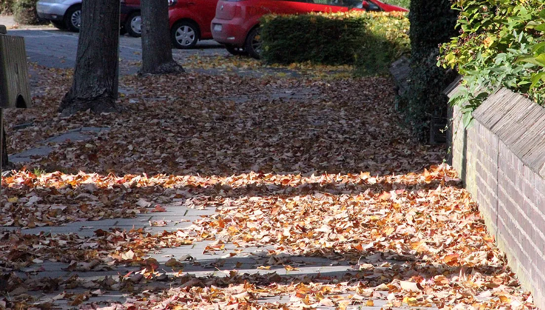 bladafval herfst gevallen bladeren vegen