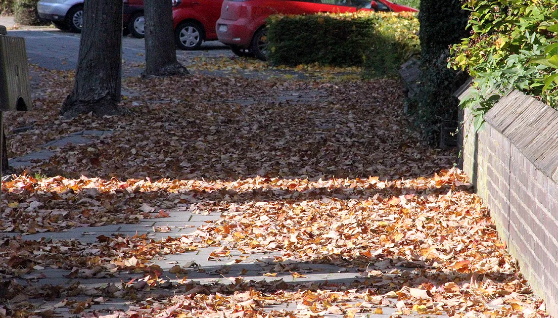 bladafval herfst gevallen bladeren vegen