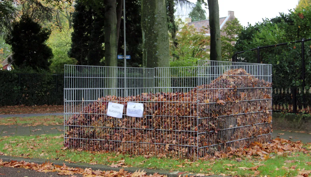 bladafval oud geleen 2017 bladkorf
