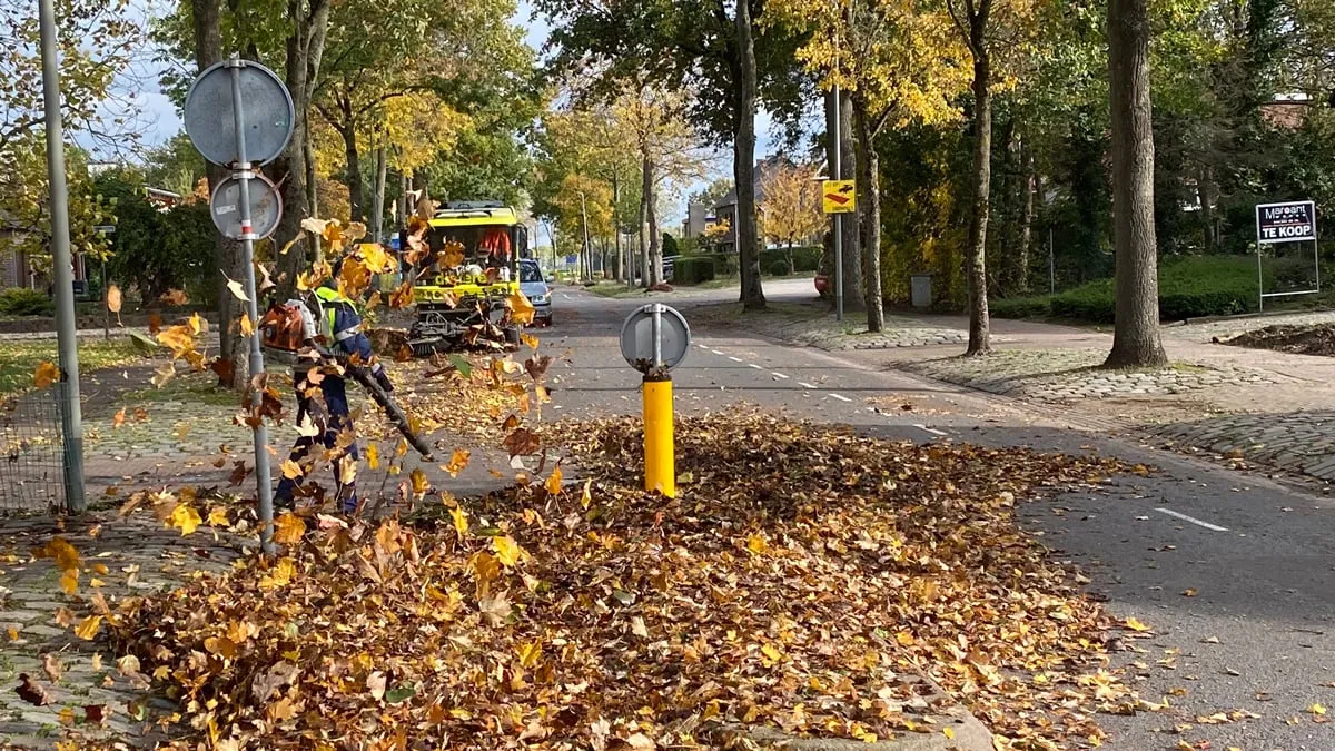 bladblazen in grevenbicht