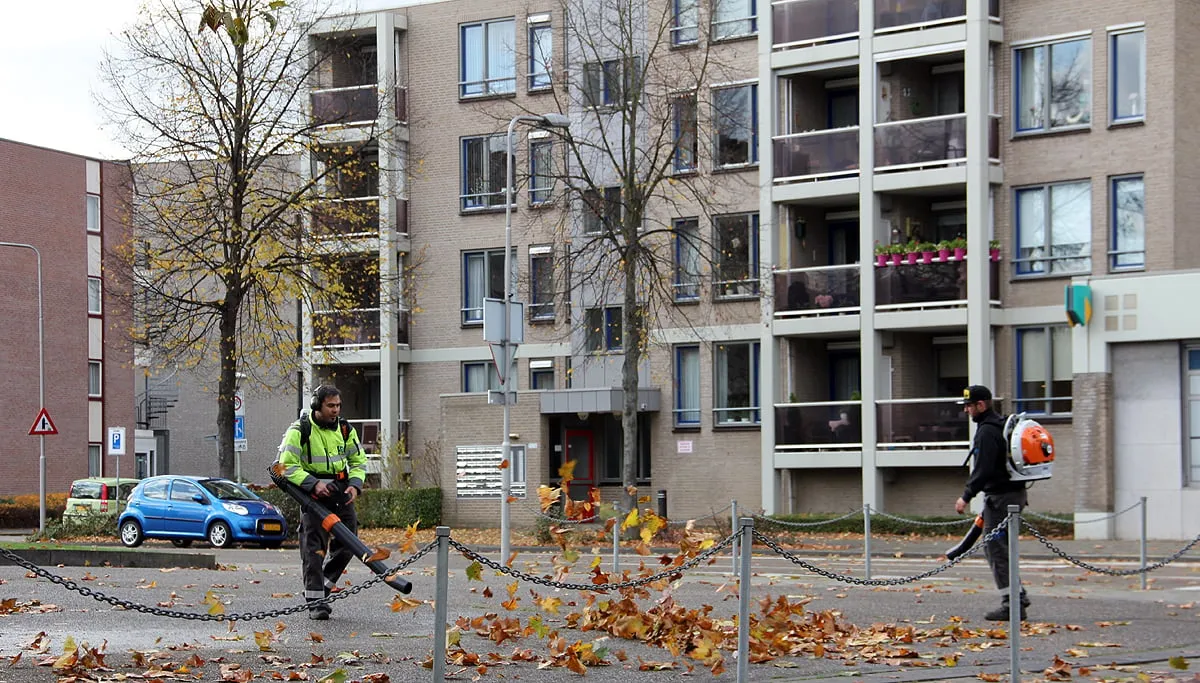 bladblazers in actie met opruimen van gevallen bladeren