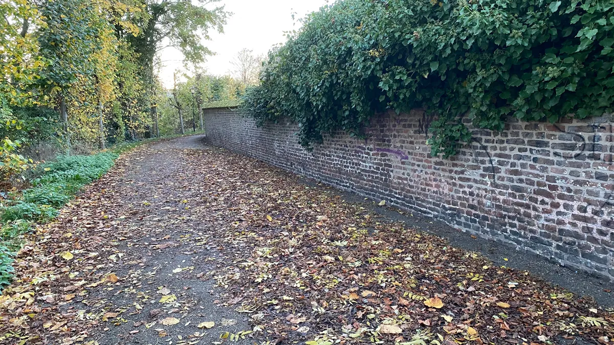 bladeren op agnetenwal sittard 2020