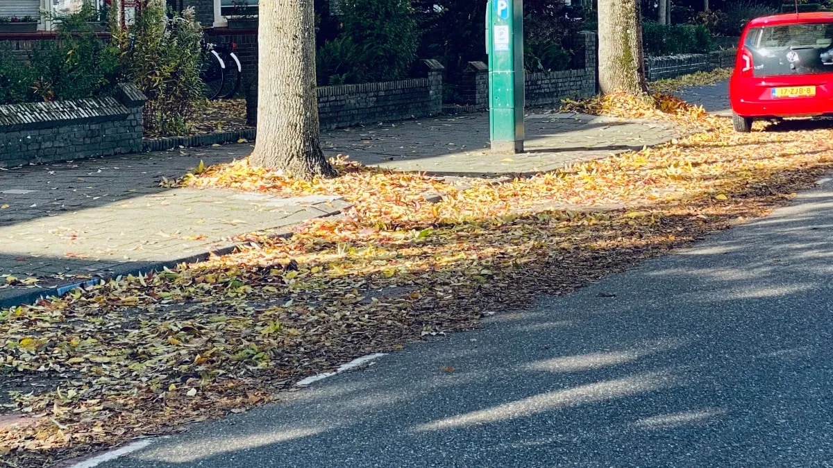 bladeren op parkeerplekken in sittard