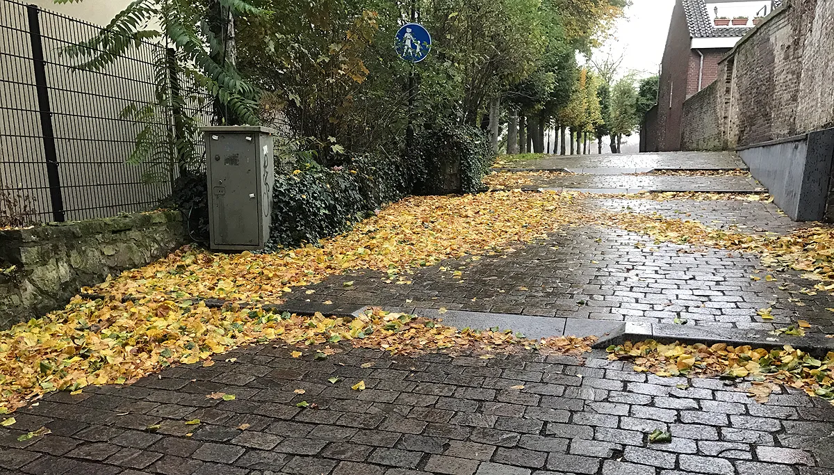 bladeren op walopgang