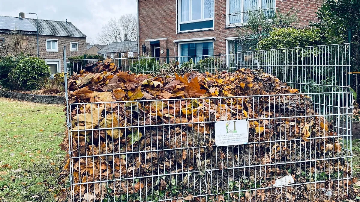 bladkorf broeksittarderweg 1