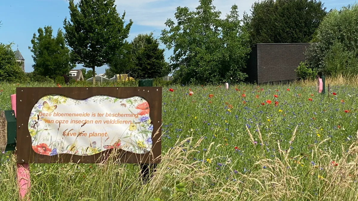 bloemenweitje limbricht 1