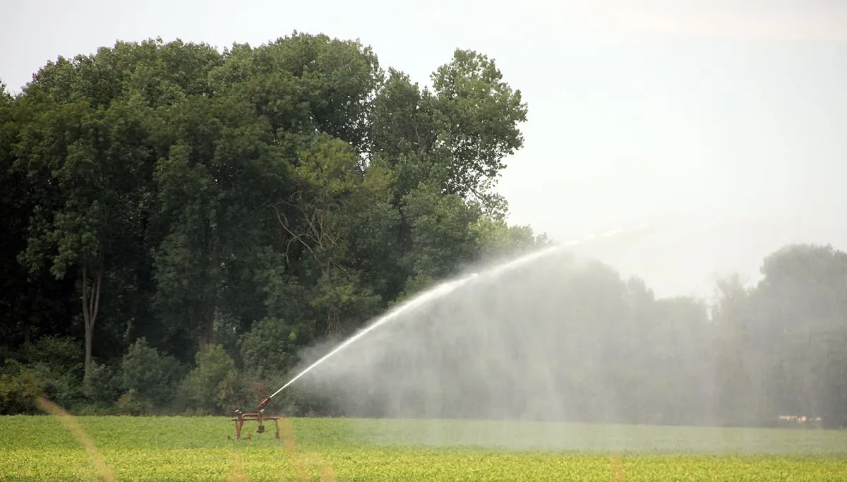 boeren droogte beregenen sproeien