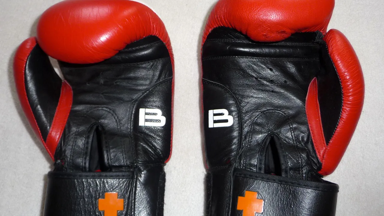 bokshandschoenen pavel sevela cc by sa 40