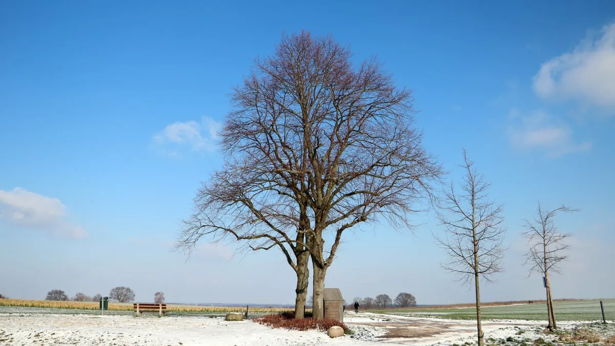 bomen kollenberg en kapel maria der smarten