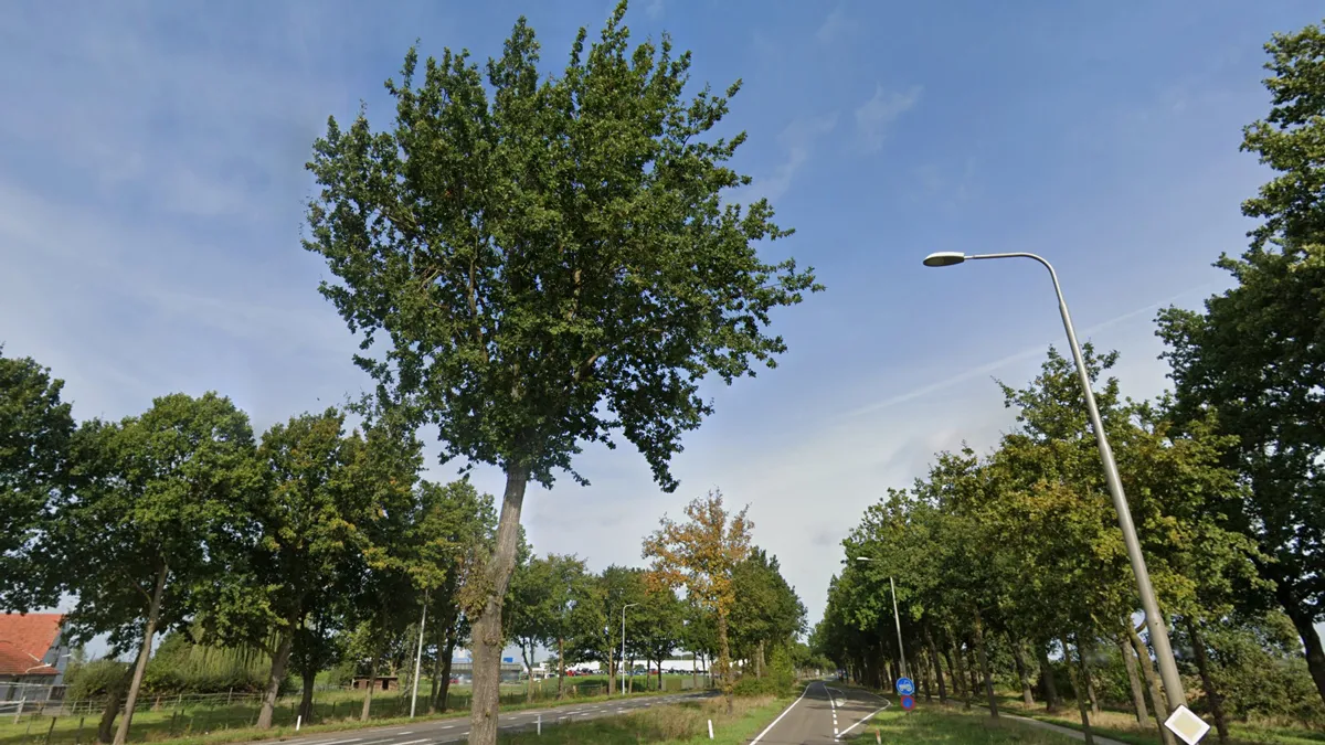 bomen rijksweg bij vdl nedcar