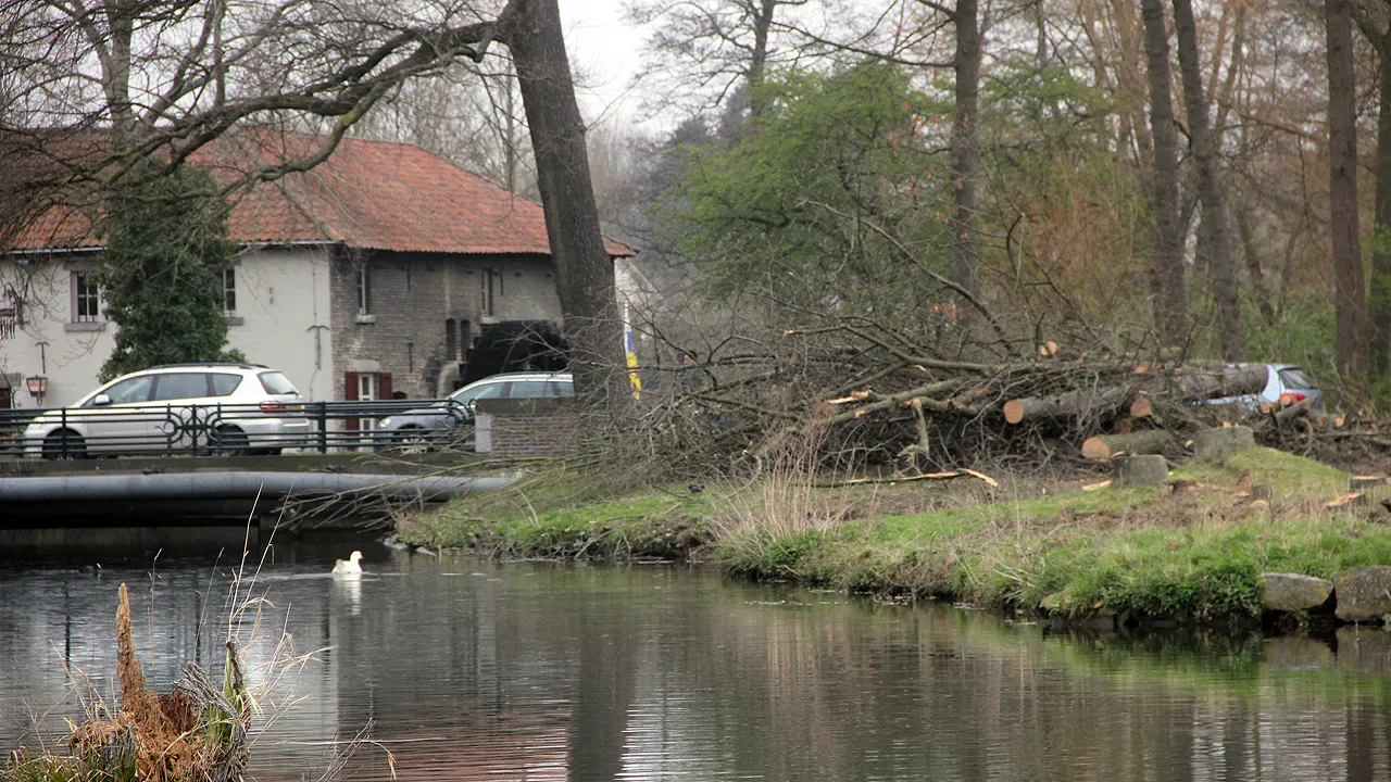 bomenkap geleenbeek 2019 2
