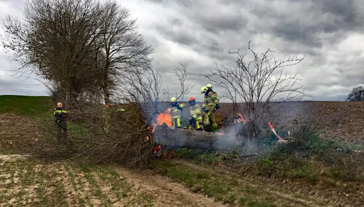 boom in brand op kollenberg 31 december 2017 1