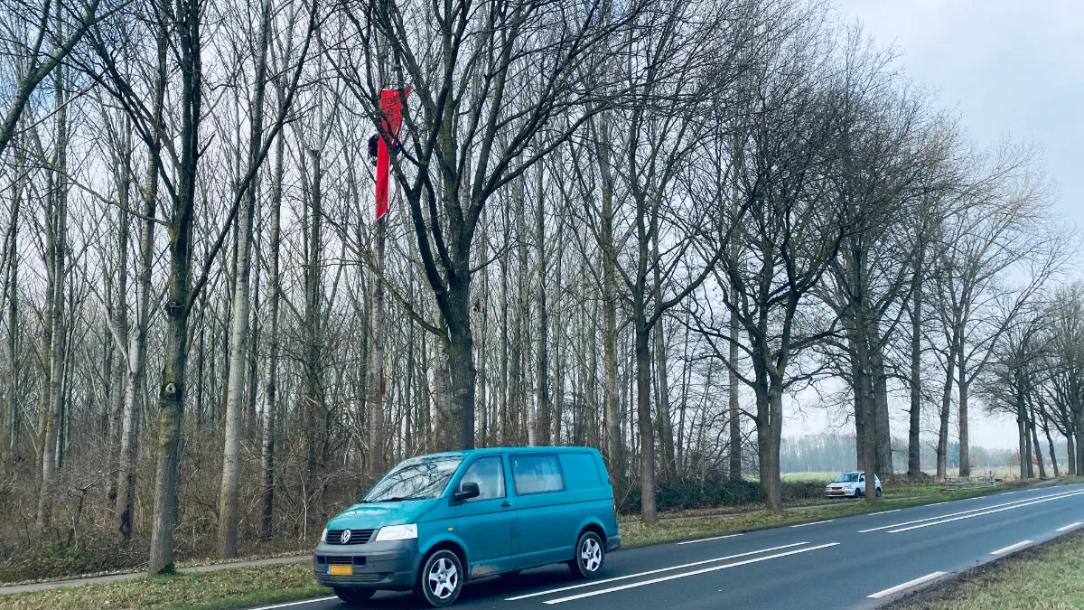 boomklimmer sterrebos