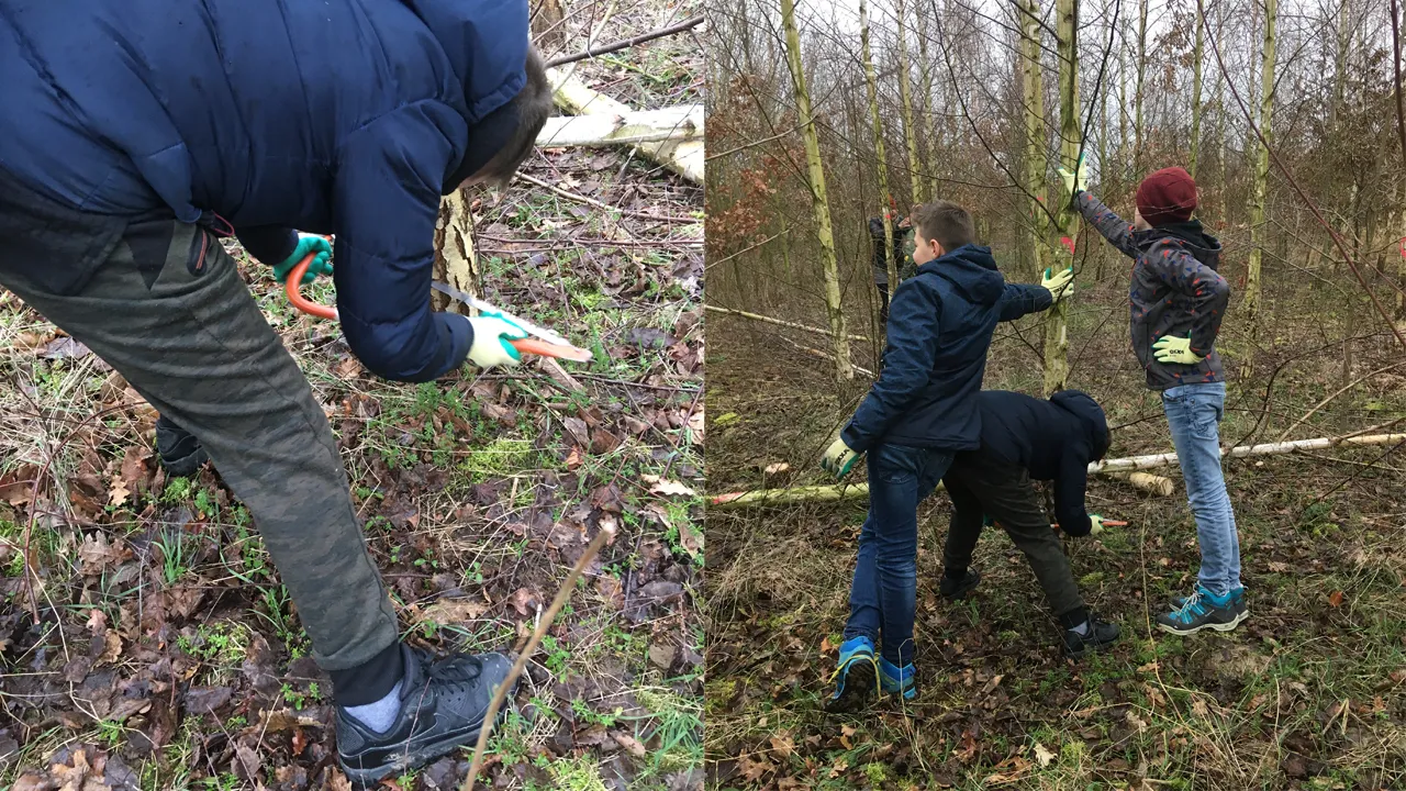 boomwerkdag in absbroekbos