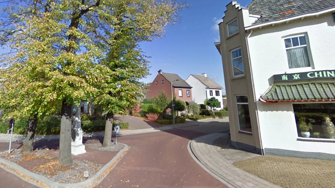 born chinees hondsbroek