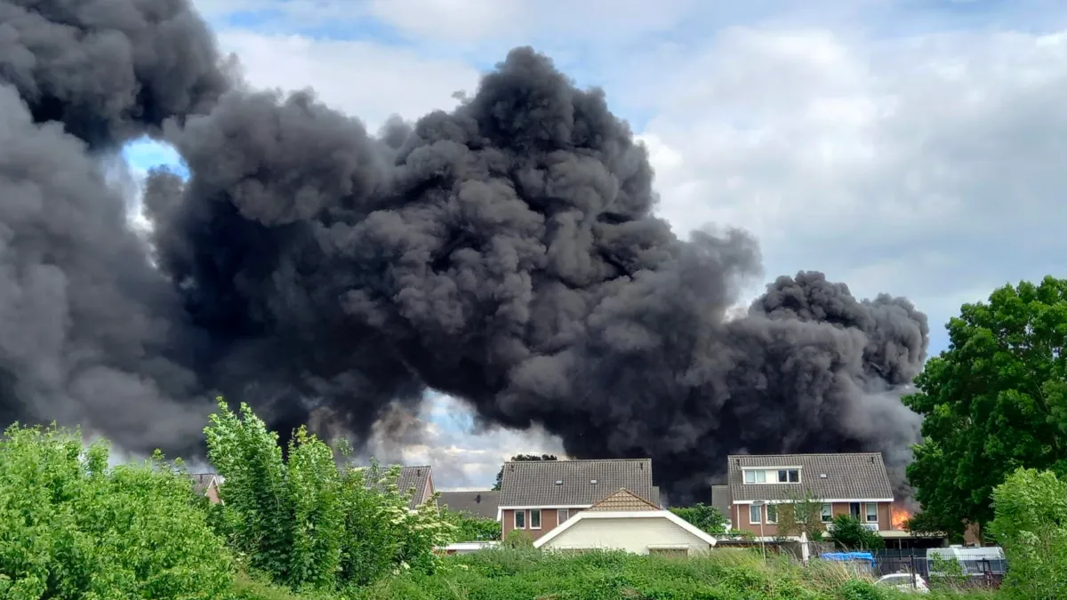 brand asterstraat geleen 6 tom bloem