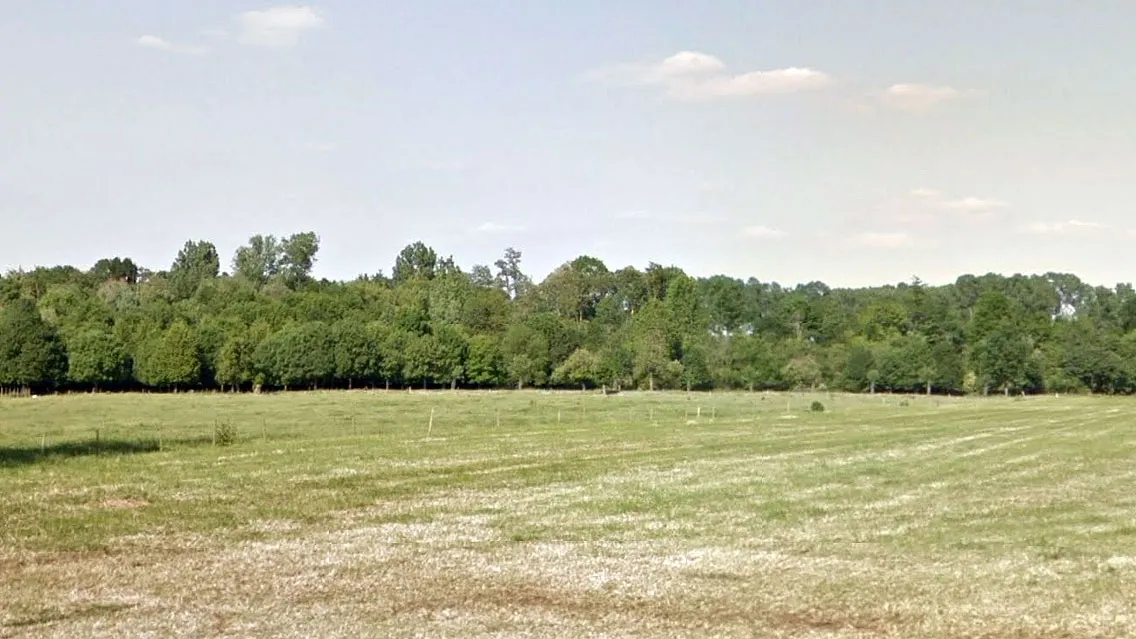 bronnengebied kingbeek