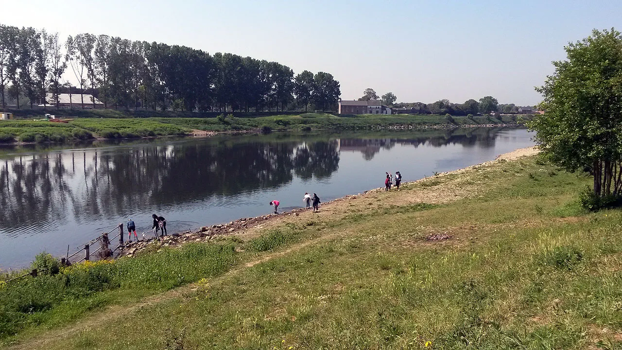 bs de springplank 15 mei 2 waterbeestjes zoeken